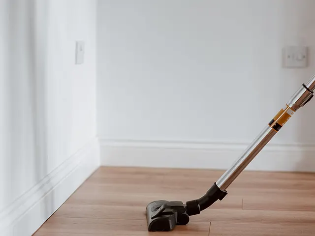 Move-In & Move-Out Cleaning